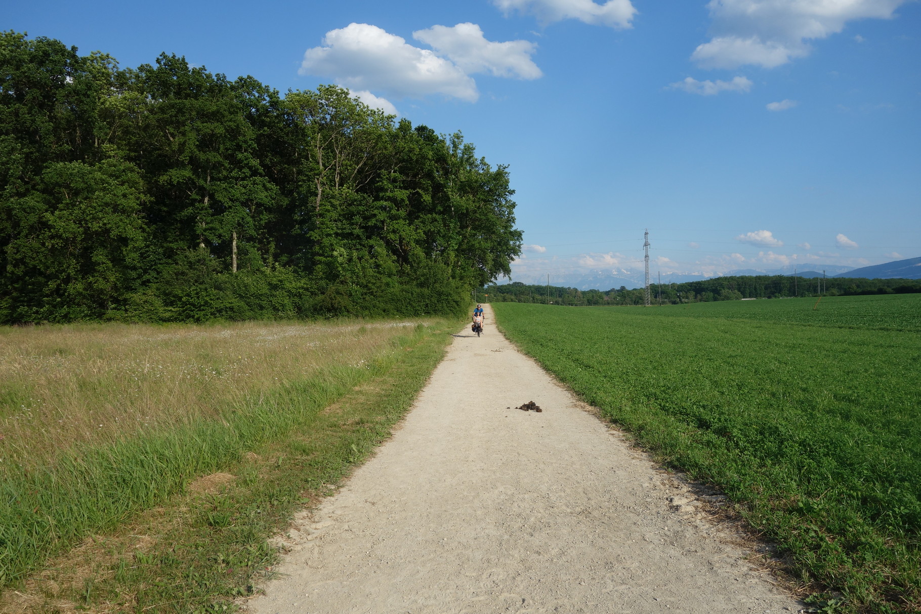 Dans la campagne genevoise