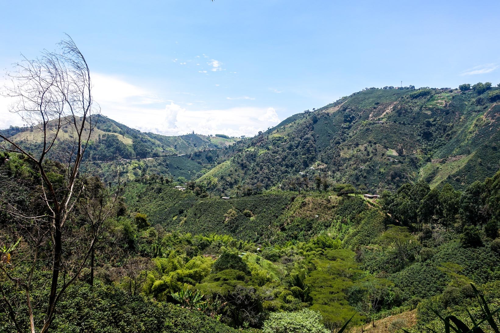 Colombie - deuxième partie - deux tandems, quatre amis en route pour Bogota